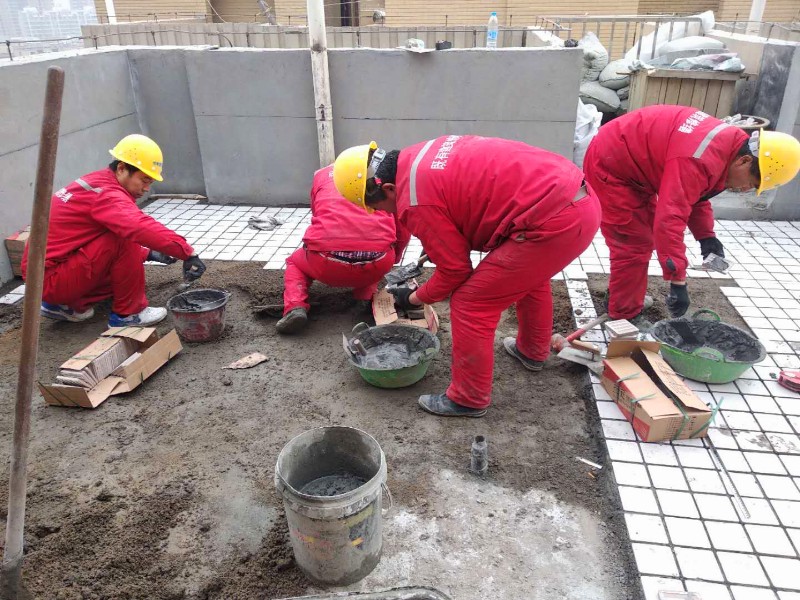 1620610518648145.jpg 1620610518648145.jpg